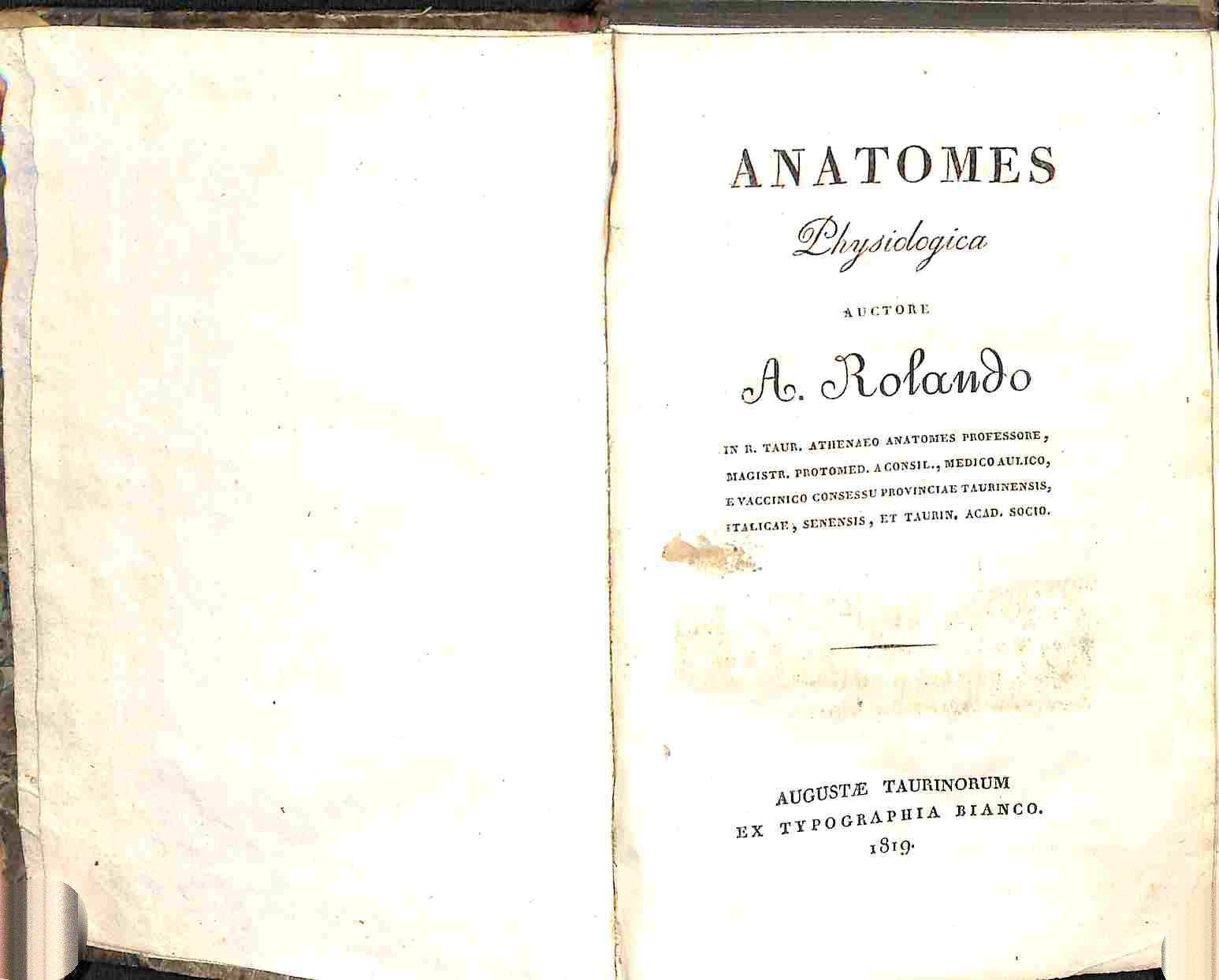 Anatomes physiologica